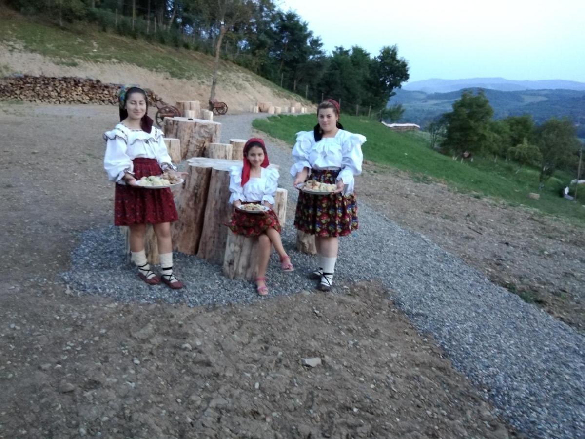 Pensiunea Valea Branzei Nanesti Екстер'єр фото