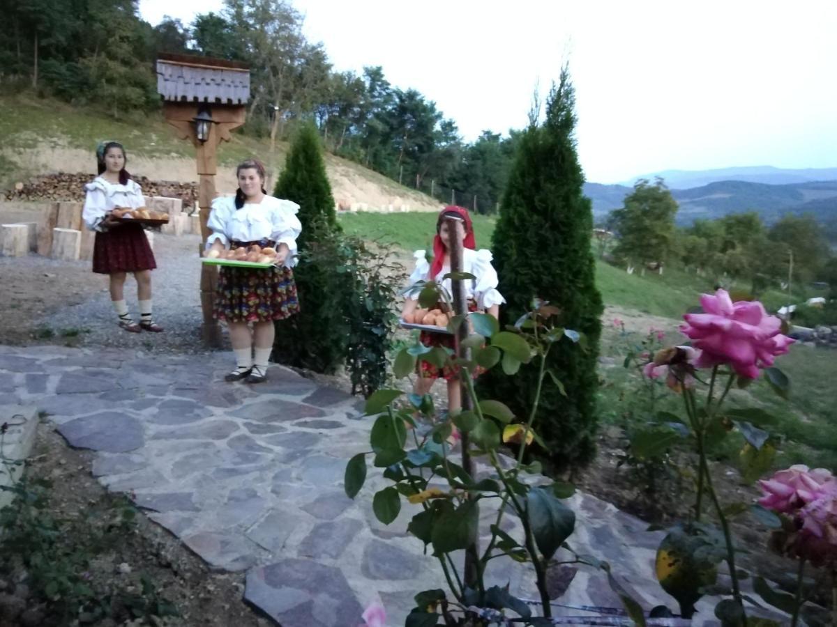 Pensiunea Valea Branzei Nanesti Екстер'єр фото