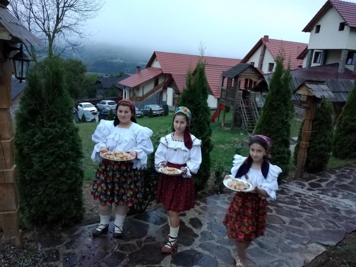Pensiunea Valea Branzei Nanesti Екстер'єр фото