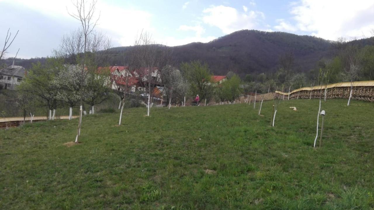 Pensiunea Valea Branzei Nanesti Екстер'єр фото